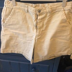 Patagonia Tan Shorts (34)
